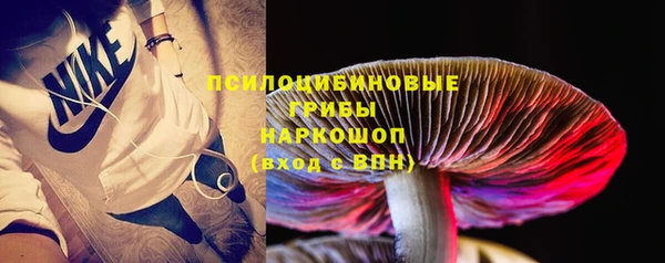 прущая мука Мегион